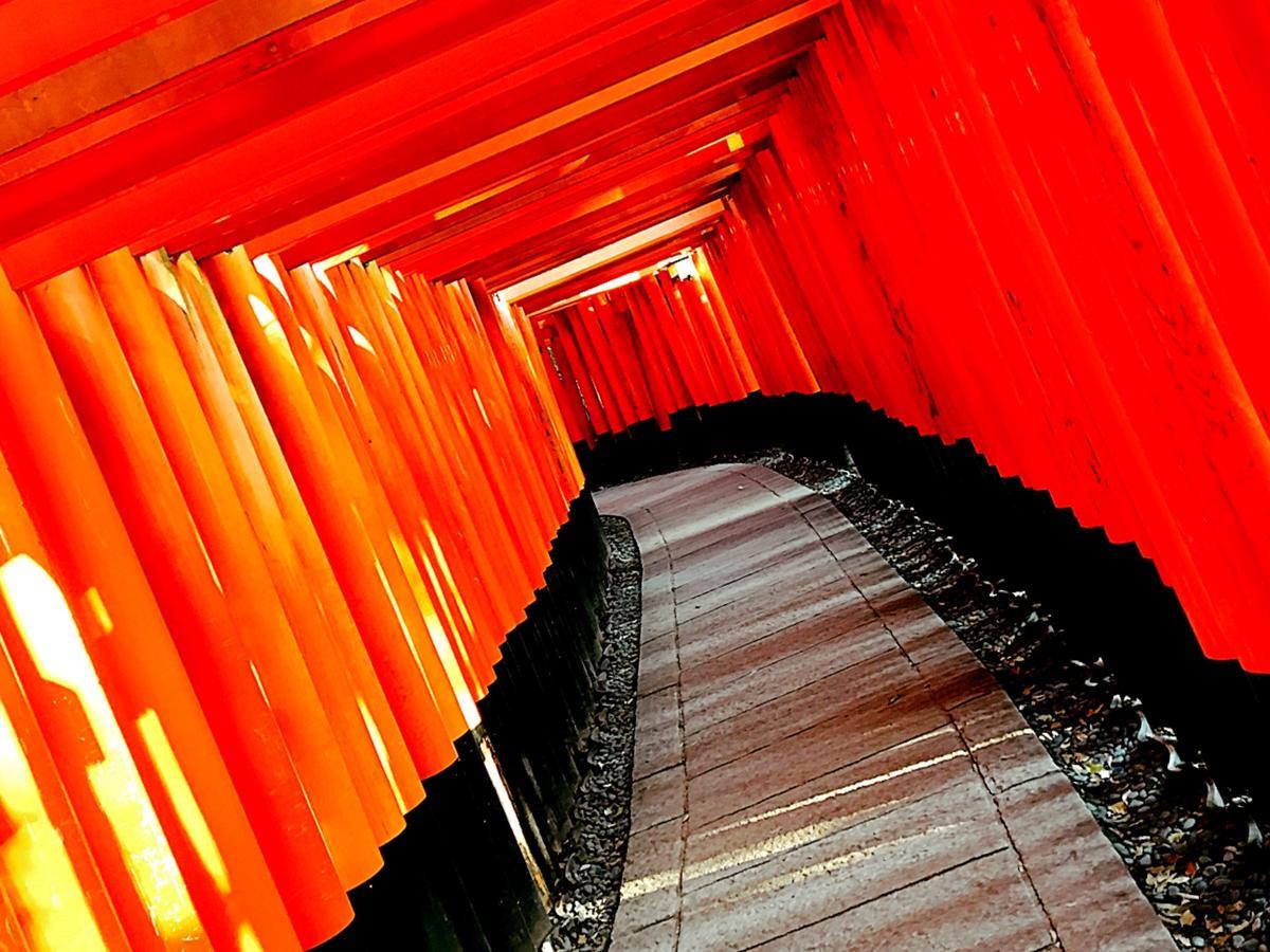 Rinn Kujokamogawa Kyoto Dış mekan fotoğraf