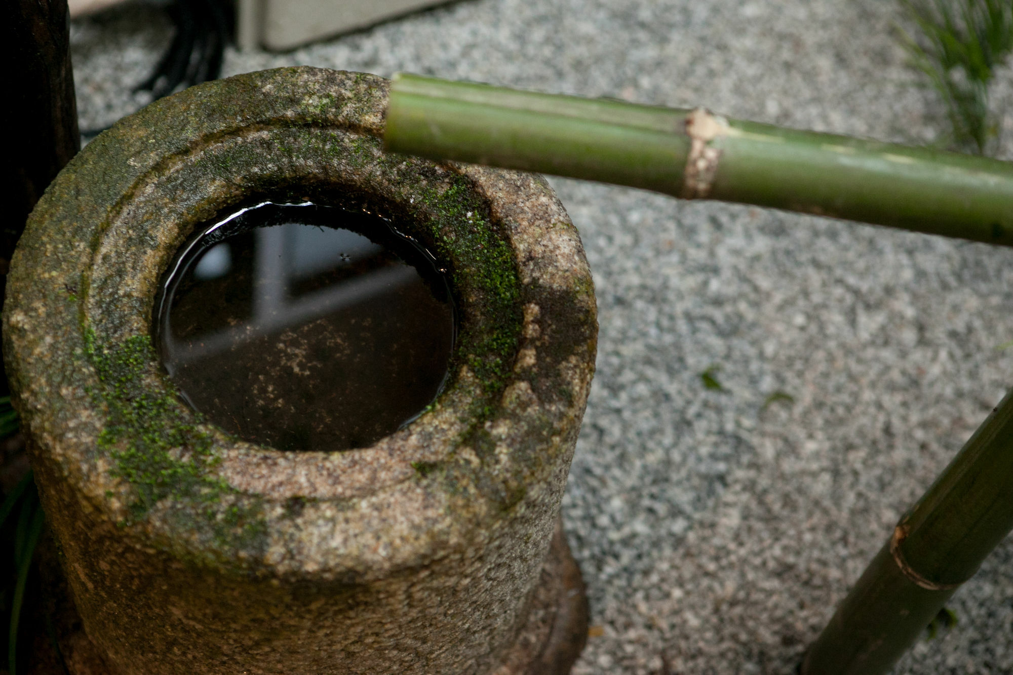 Rinn Kujokamogawa Kyoto Dış mekan fotoğraf